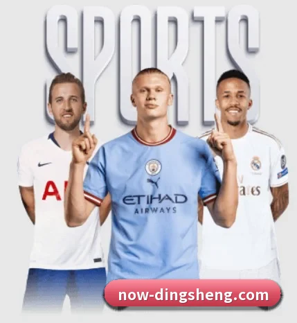 鼎盛娱乐 APP